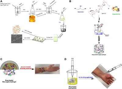 Polymeric Organo-Hydrogels: Novel Biomaterials for Medical, Pharmaceutical, and Drug Delivery Platforms